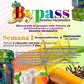 Bypass Reseteo